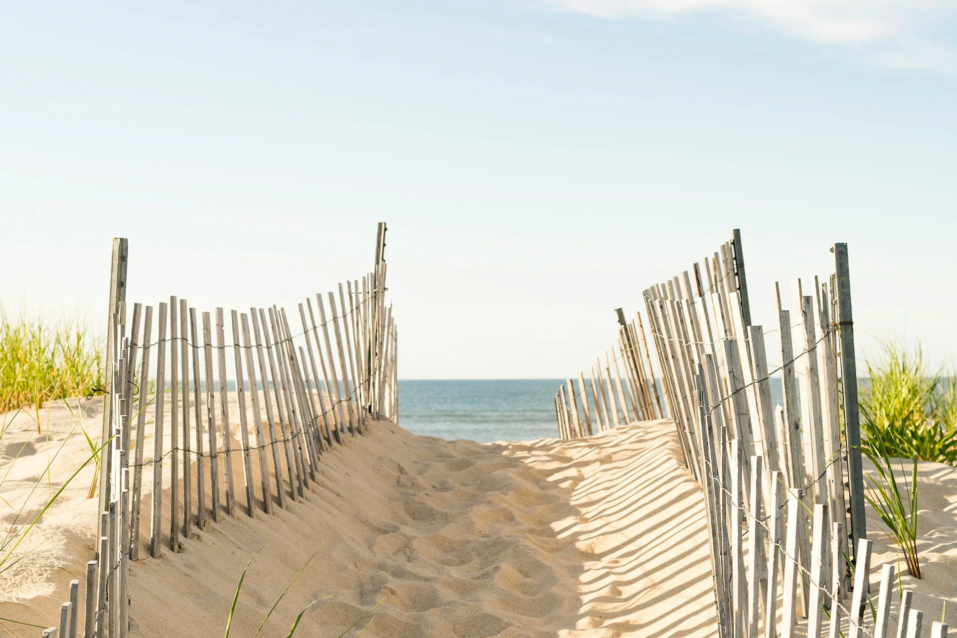 Protect yourself from ticks when hiking